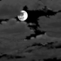 Tonight: Mostly cloudy, with a low around 57. West wind around 5 mph becoming light and variable  after midnight. 
